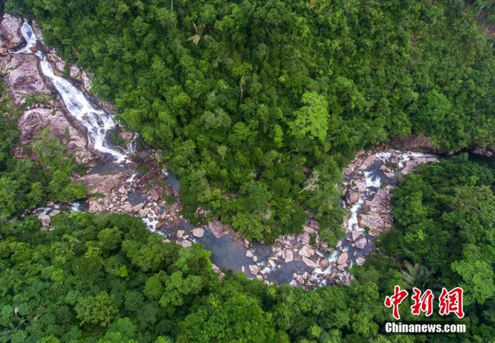 航拍吊罗山雨林溪流。骆云飞 摄