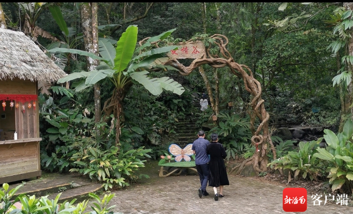 游客进入琼中百花岭景区“爱情谷”探访。记者石祖波 摄