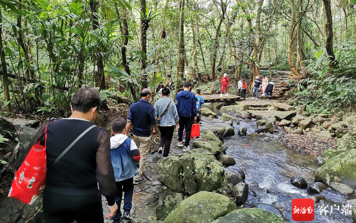 游客徒步探寻雨林秘境。记者石祖波 摄