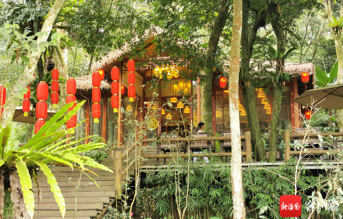 琼中百花岭景区百花天池景点旁，游客中途可在此喝茶歇息，现场环境清雅。记者石祖波 摄