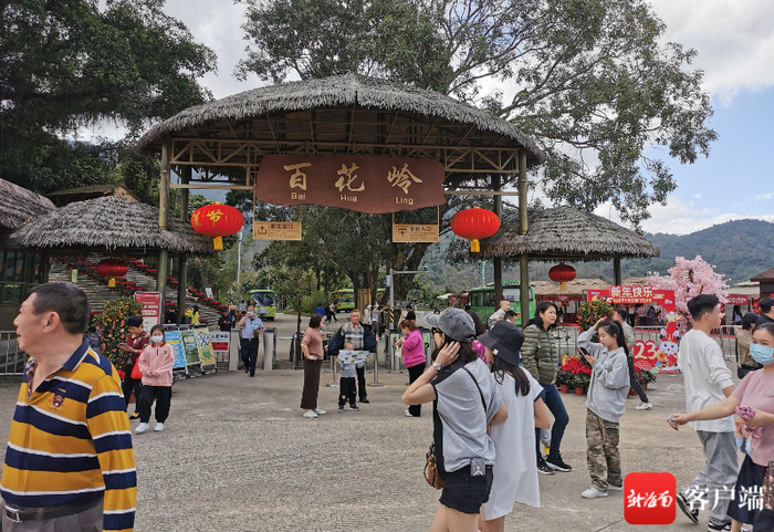 1月23日，农历正月初二，琼中百花岭景区游人如织，格外热闹。记者石祖波 摄