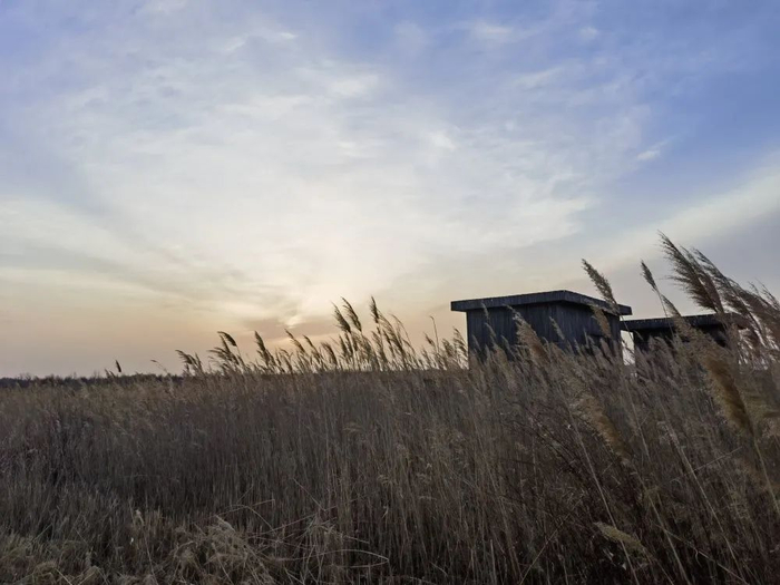 图为夕阳下的保护区。（新华社记者 袁敏摄）