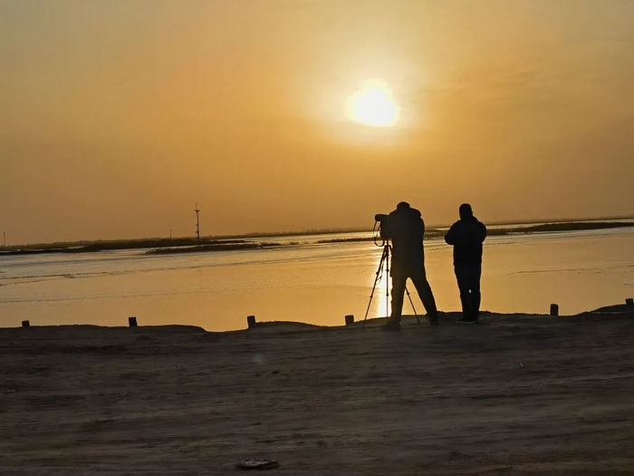 图为王安东（左一）和同事在观测鸟类。（新华社记者 袁敏摄）