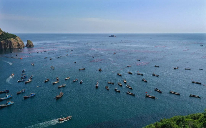 这是辽宁省大连市长海县海洋岛镇的海洋牧场。姚剑锋摄（新华社）