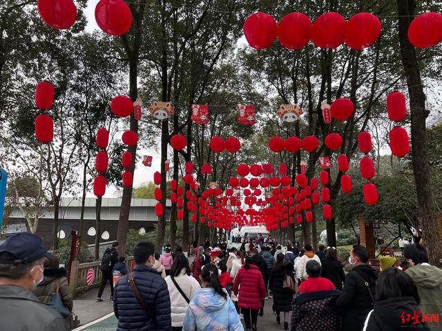 ▲春节期间的熊猫基地