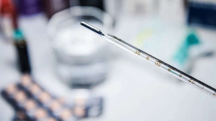 图片来源于摄图网