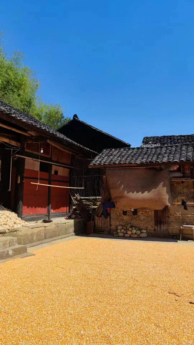 张月东家乡的景色。图/受访者供图