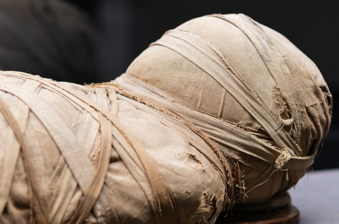 资料图 图：东方IC