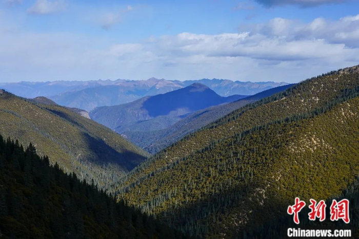 川藏公路沿线甘孜森林风光。