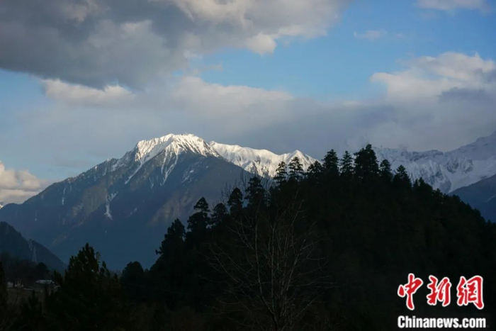 川藏公路西藏波密县境内的雪山。