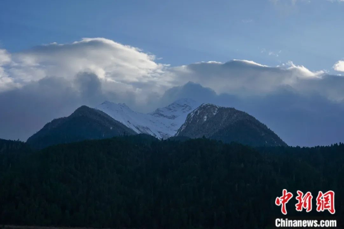 西藏林芝波密县的冰川与原始森林。