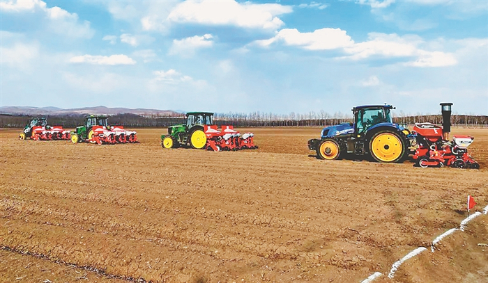     八五五农场有限公司多台播种机进行大豆播种作业。    本文图片均为资料片