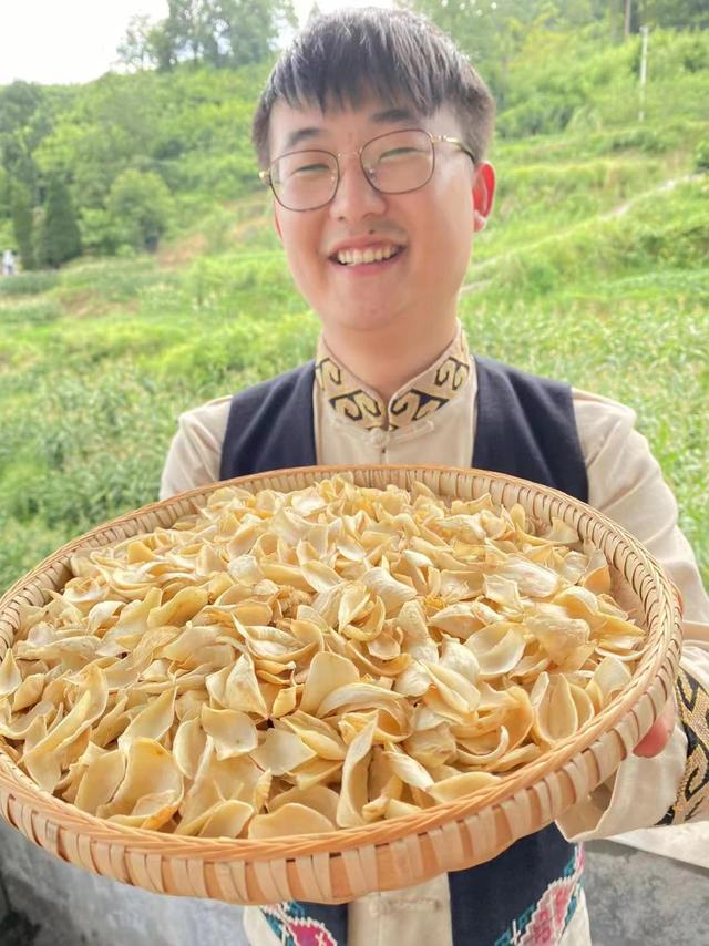 张益和龙山百合。图/受访者供图