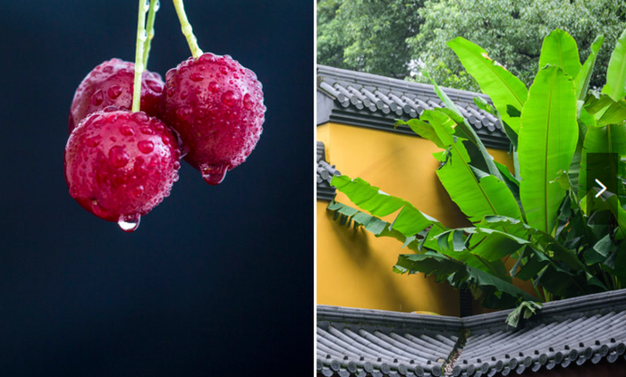 图片来源：东方IC