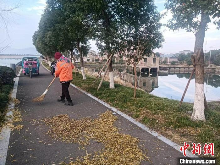 张兆发清理堤防上的落叶。　方舟供图 