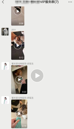 宠物上门喂养视频反馈 刘佳/摄影