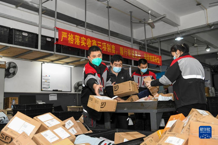 　　顺丰深圳南山科技园站点快递小哥杨磊（左一）和同事们忙着分拣快递（1月21日摄）。新华社记者 梁旭 摄