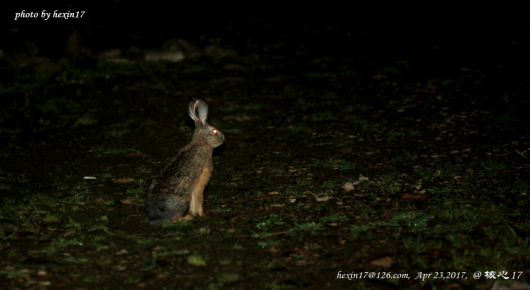 何鑫摄于云南大理