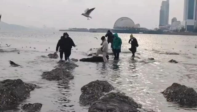 汪先生趴在冰冷的海水中，担当人梯。网信青岛供图