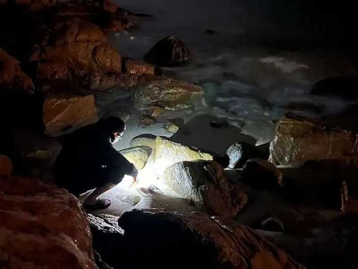 ▲ 大年初一晚上，史渡去赶海。图 / 受访者提供