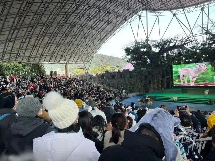 摄影/橙友@Esther