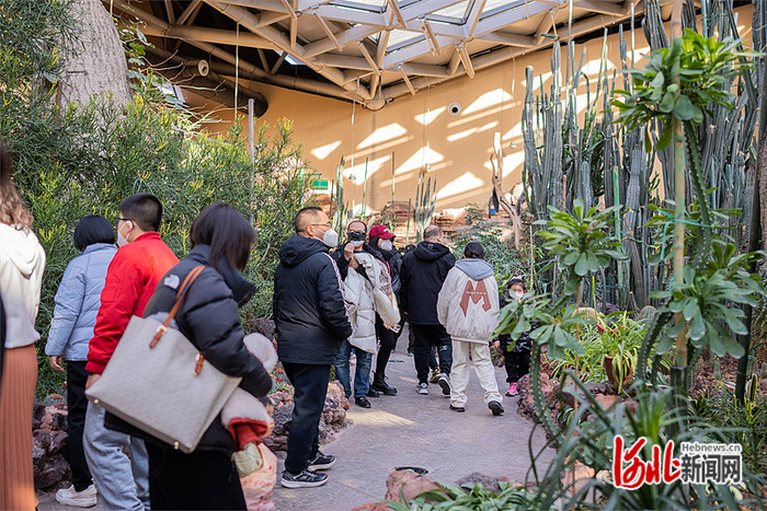 春节假期，唐山南湖景区植物风情馆吸引许多市民游客前来参观。图片由唐山文旅集团提供