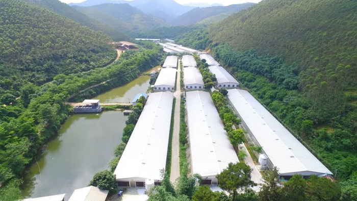 温氏高效养殖小区