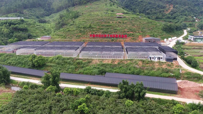 云城区前锋镇国家级（南药）现代农业产业园