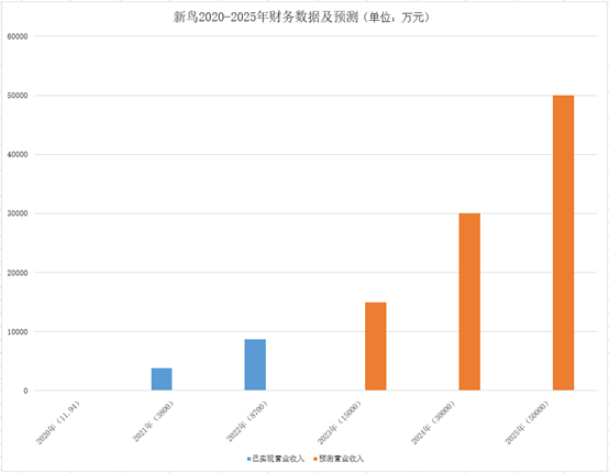 　　新鸟公司2020年-2025年财务数据及预测。