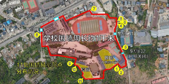     打开网易新闻 查看精彩图片    