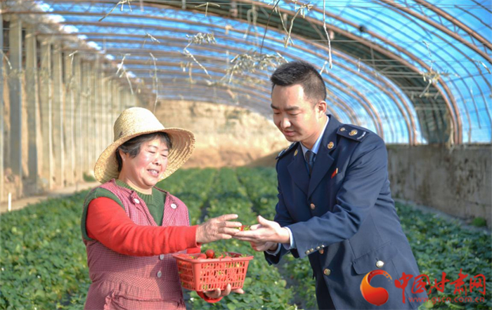 市税务局青年税务干部把税收优惠政策送到田间地头