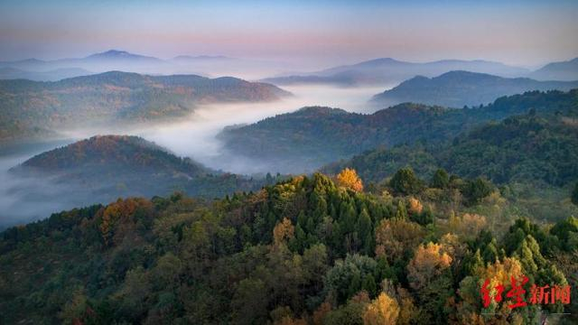 ▲龙泉山城市森林公园 资料图