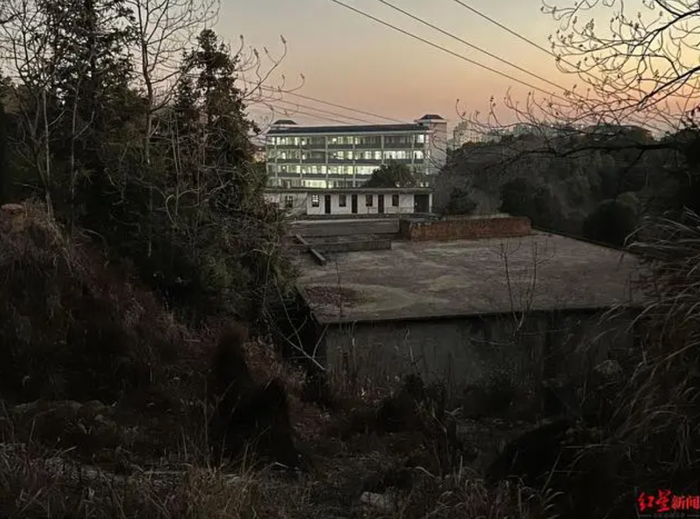 从金鸡山上能看到致远中学 图片来源：红星新闻