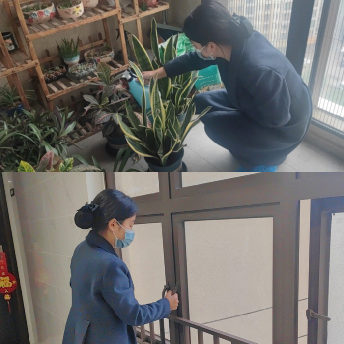 图：中山岚彩名苑“原年人”谷阿敏为空置房屋进行养护