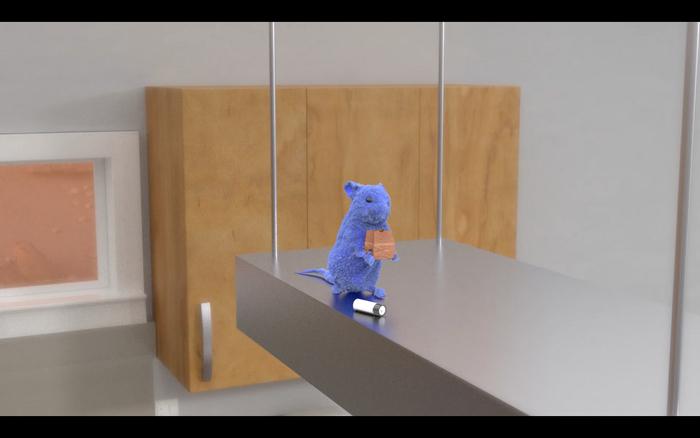 　　courtesy of the artist