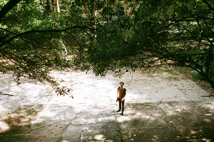 　　courtesy of the artist