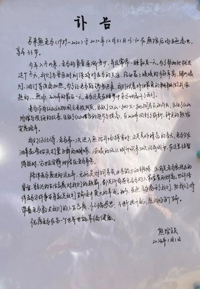 “老马”的讣告 图/受访者提供
