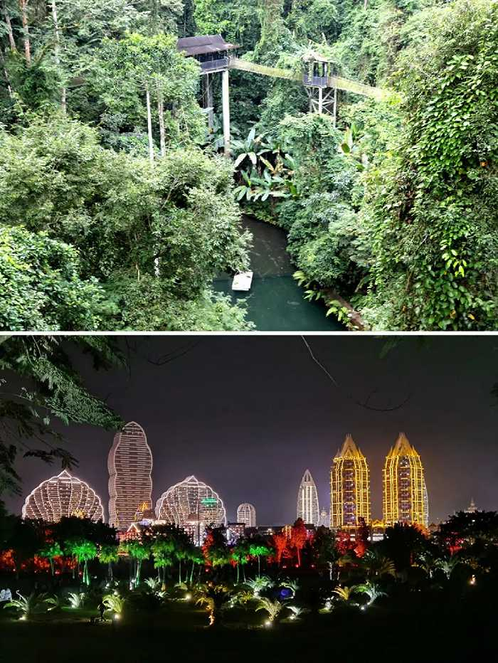 西双版纳风景 / 受访者供图