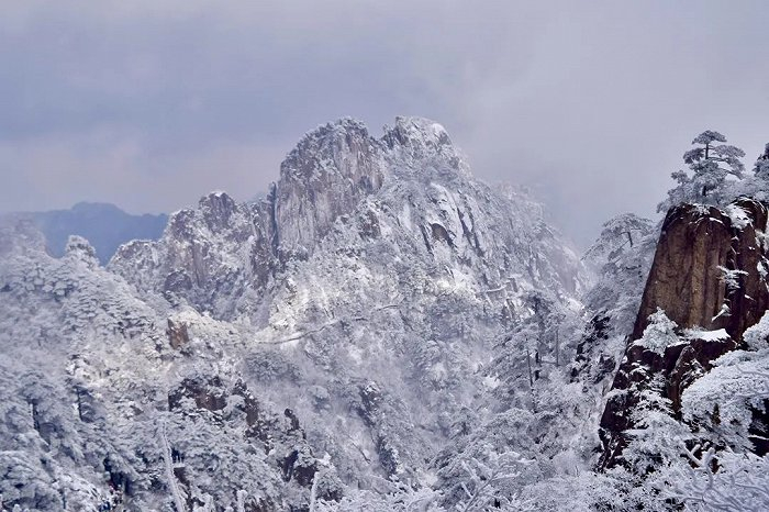 黄山风景 / 受访者供图
