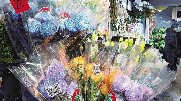     寓意“聚财”的牡丹菊