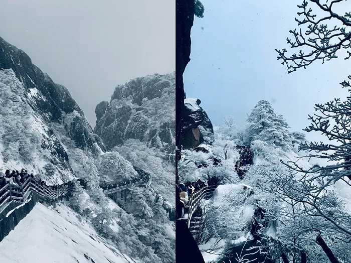 黄山风景 / 受访者供图