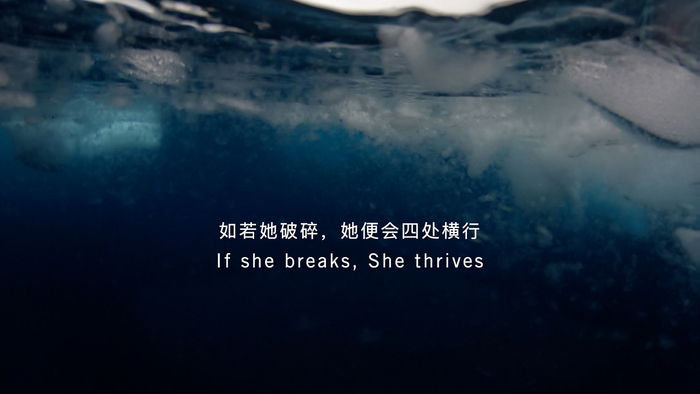 　　courtesy of the artist