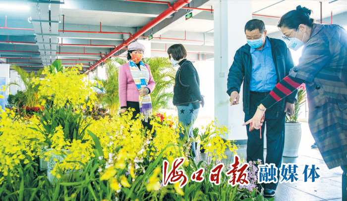 　　1月31日下午，参会花商在海南热带花卉交易（拍卖）市场参观。海口日报融媒体记者 陈长宇 摄