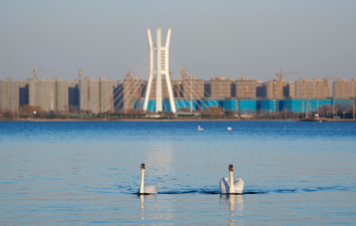 北龙湖 正观新闻·郑州晚报记者 马健 摄