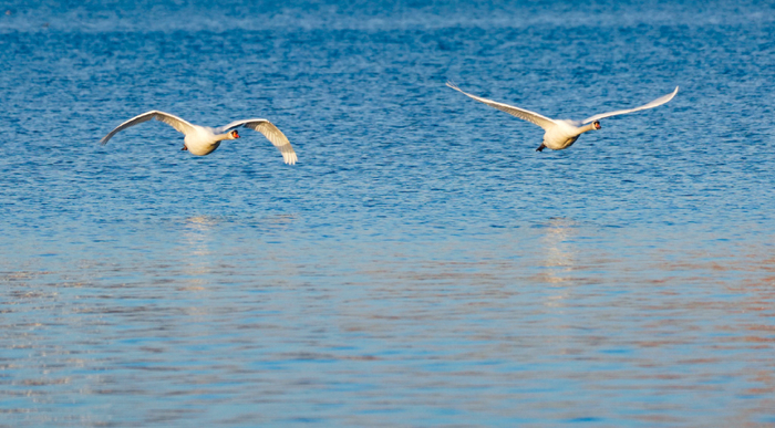 北龙湖 正观新闻·郑州晚报记者 马健 摄