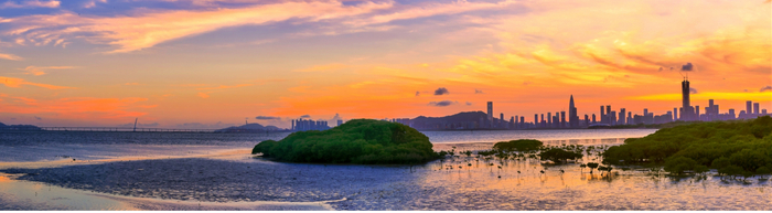 福田红树林自然保护区（图源：深圳市规划和自然资源局）