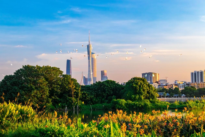 广东广州海珠国际重要湿地（谢惠强 摄）