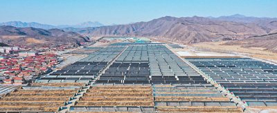 　　1月25日，河北滦平县大屯镇兴洲村附近的蔬菜大棚。梁志青摄