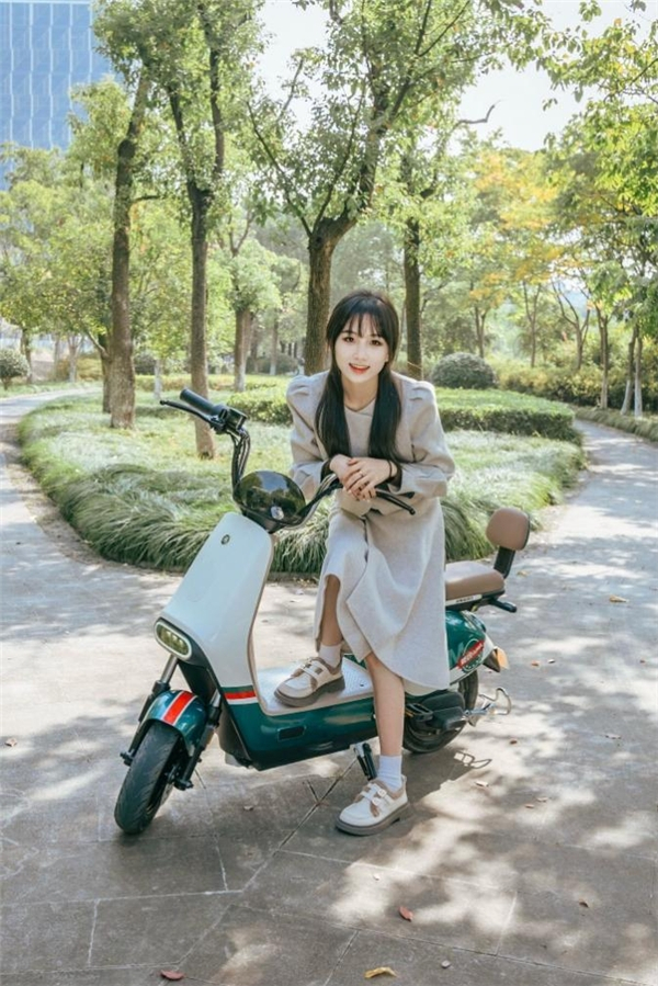 图:爱玛冰淇淋车型