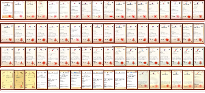 丸美所获专利证书（仅展示部分）